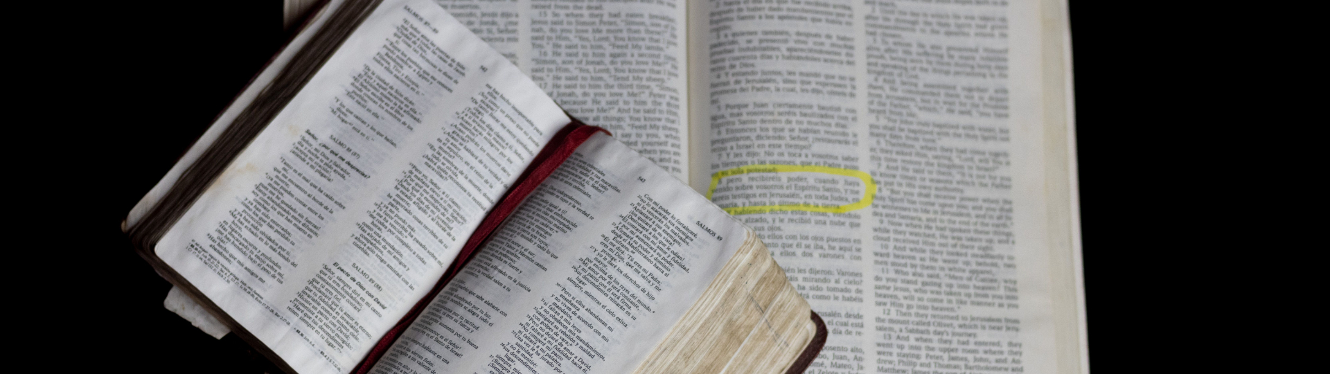 Old & New Testament Survey