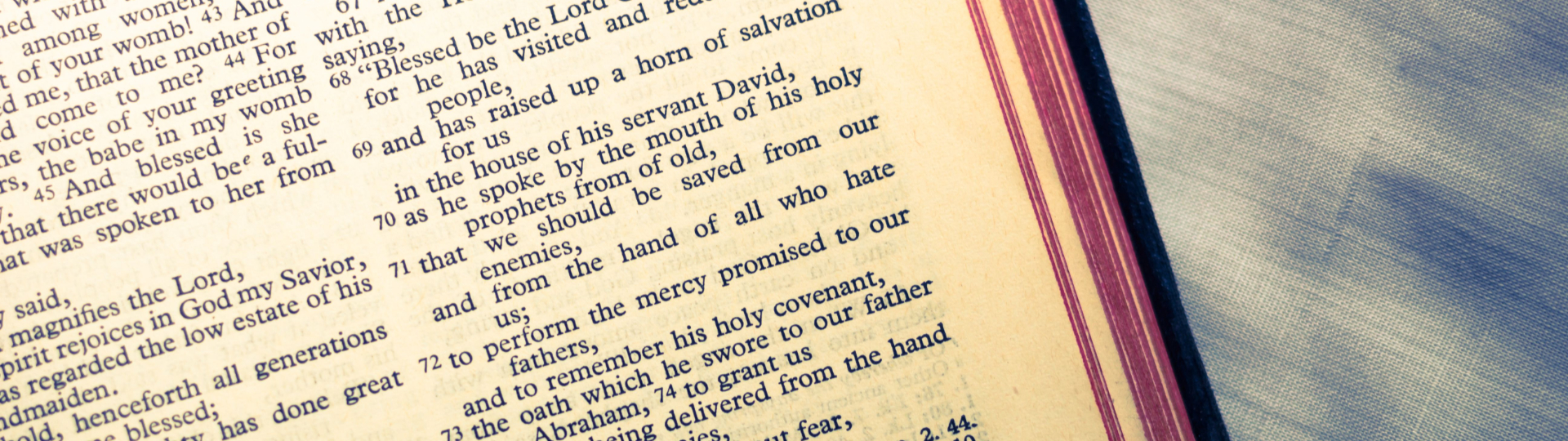 Bible Verses