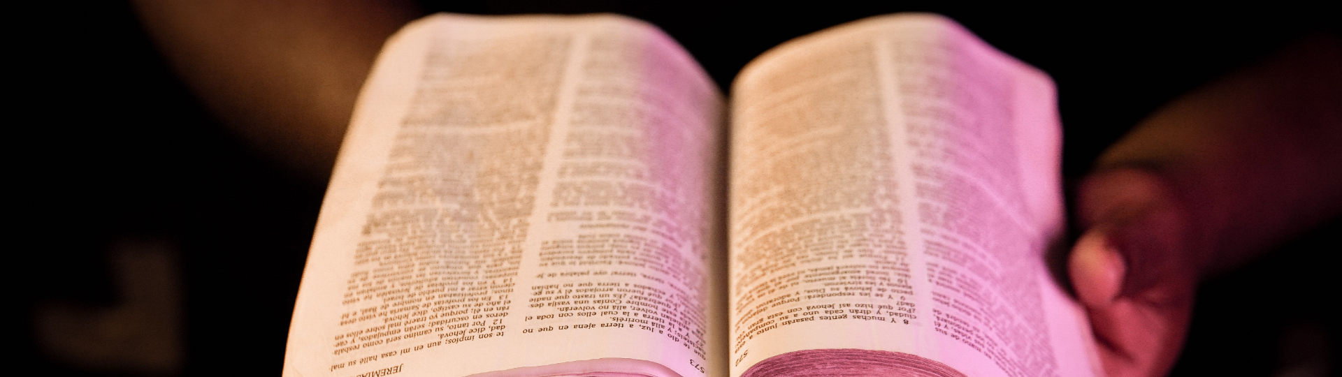 Bible Trivia