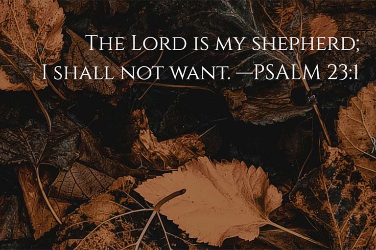 Bible Verse Wallpaper Generator