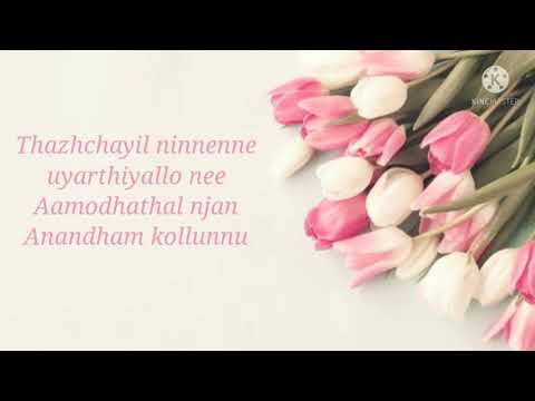 Nin sneham paaduvan Malayalam Christian song with lyrics // WRC