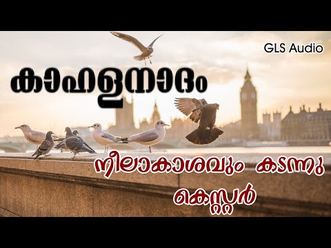 Neelaksavum Kadannu Njan Pokum by Kester