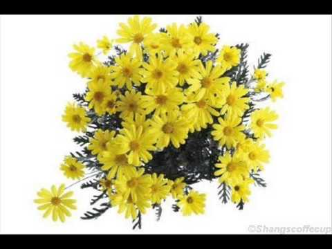 ee loka jeevithathil....ഈ ലോക ജീവിതത്തില്‍